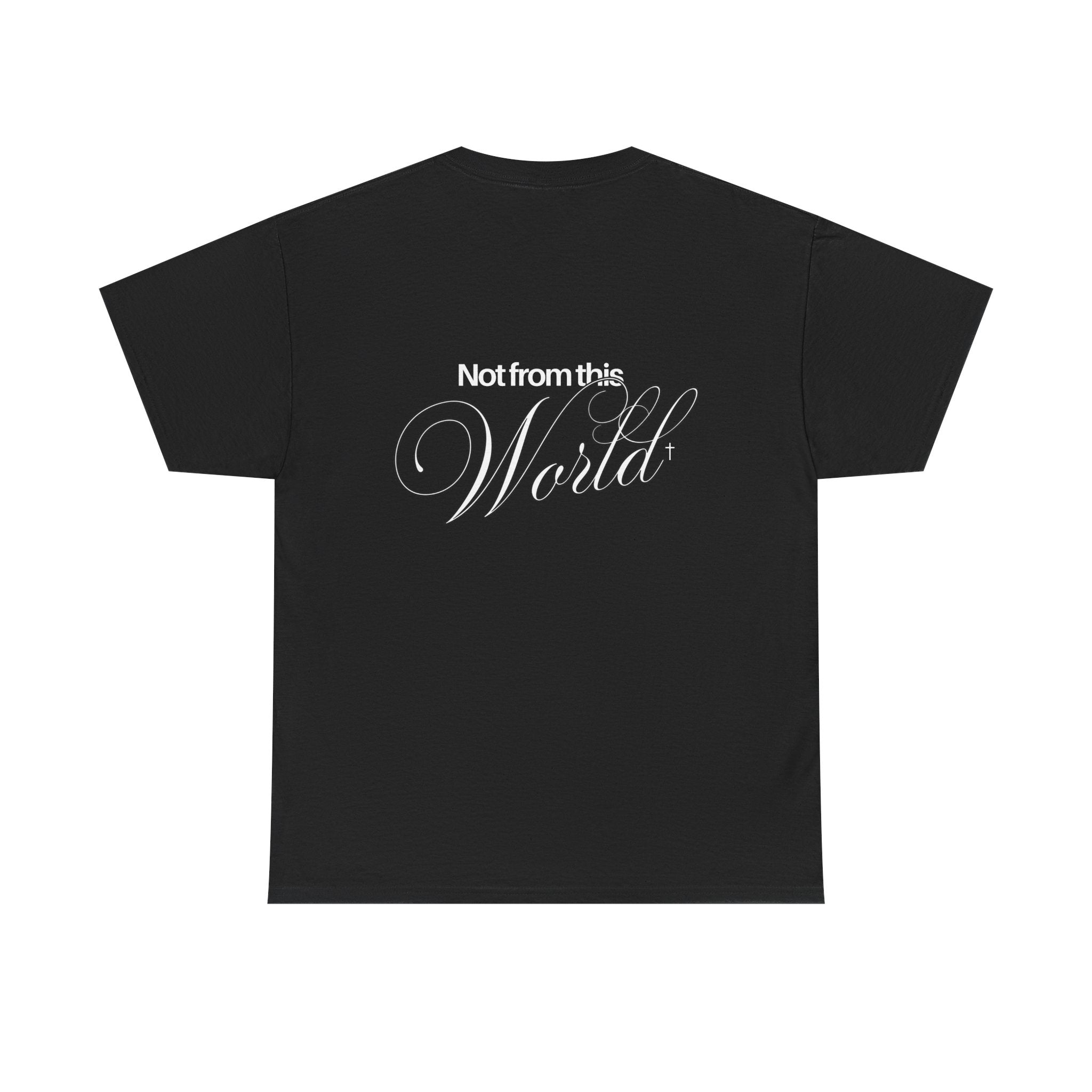 NOT FROM THIS WORLD