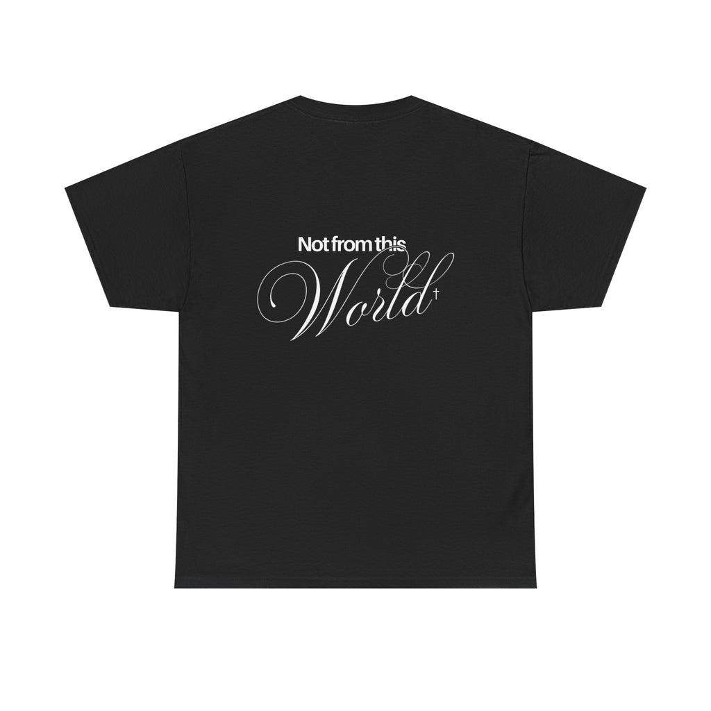 NOT FROM THIS WORLD